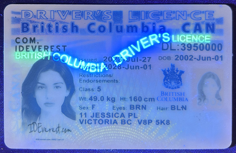 British Columbia Drivers License – Scannable Fake ID